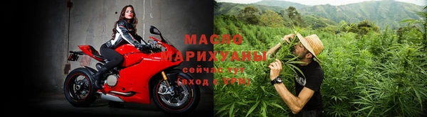 индика Кулебаки