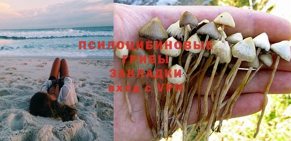 MESCALINE Красноперекопск
