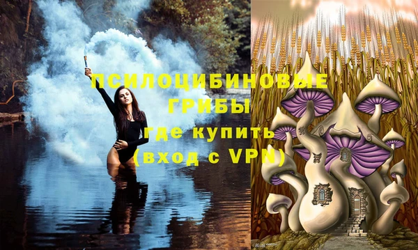 MESCALINE Красноперекопск