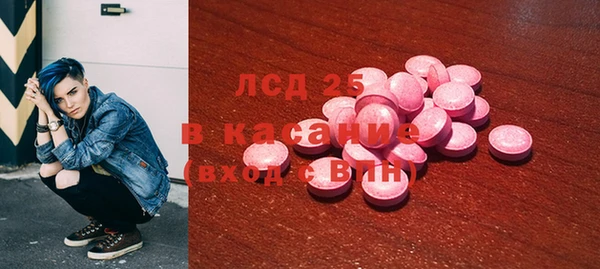индика Кулебаки