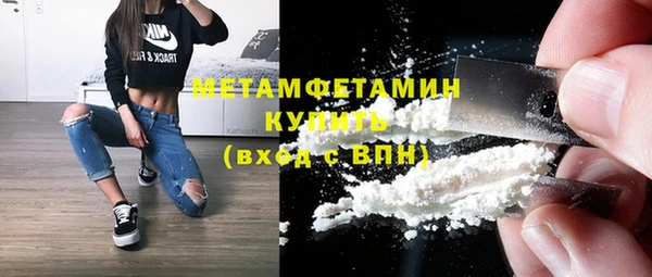 индика Кулебаки